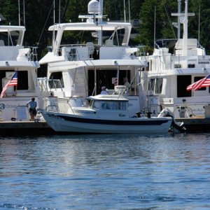 Roche Harbor, with a 2.7 millon dollar Ocean Alexander for sale in background (twin cat diesels)