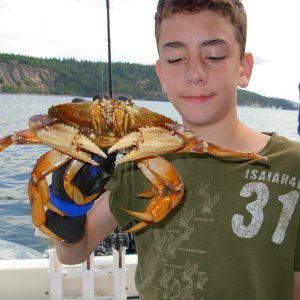 crab jack