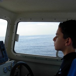 Pirate