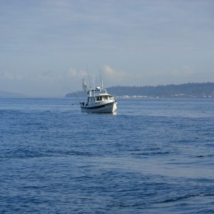 C-Dancer fishing Coho off Shilshole