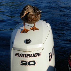 E-Tec checked out