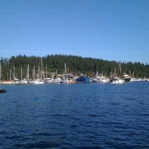 Deer Harbor 2