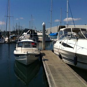 Kingston