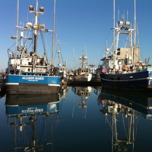 Westport Fleet 2