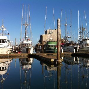 Westport Fleet 3