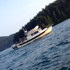 Susan E on the flood tide
