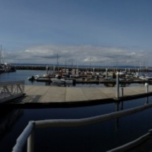 Shilshole