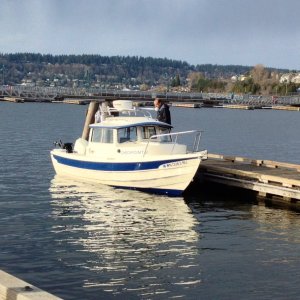 Winter run @ Coulon