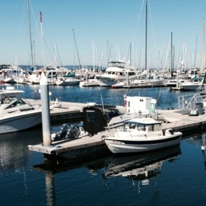 H1 - Shilshole