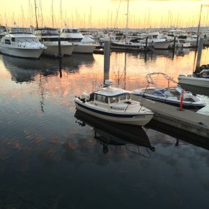 Shilshole H