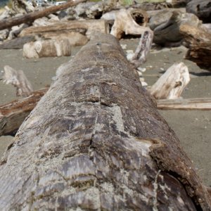 West Beach 1