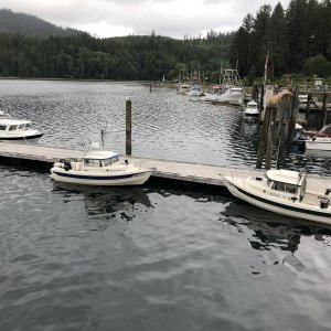 Media 'Our fleet in Winter Harbor 2019' in album 'Checkpoint II - First trip to Kingston 6-24-2006, note no numbers yet'