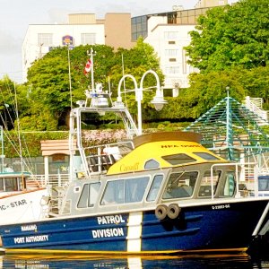 15 Nanaimo