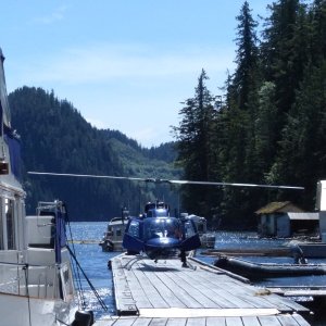 30 Helicopter landing on the dock making a beer run for the loggers