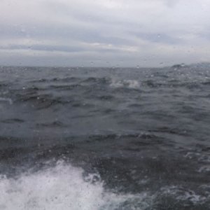 Media '59 Rough seas, a white knuckle day.' in album '1 Lighthouse Express'
