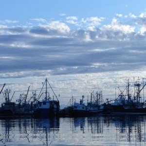60 Settled at a harbor for the night