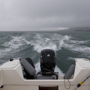 Making my way back to Anacortes instead of Friday Harbor as planned.