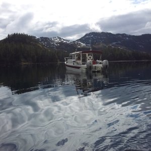 Prince William Sound