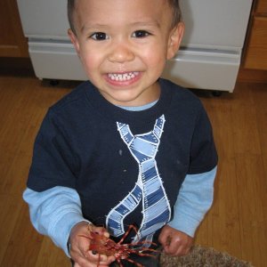 My grandson, Kaimani w/ a shrimp.  He's a real boy and has no compunction about holding any "bugs".