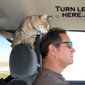 Who needs GPS?