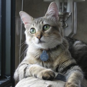 Izzy growing up