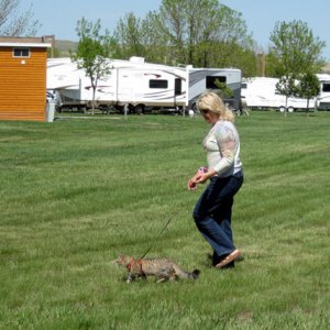 Izzy and Joan walking