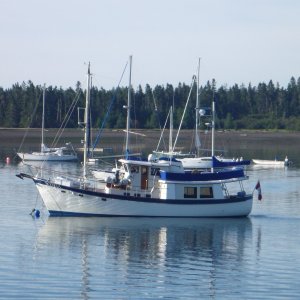 I liked this boat motor sailor I guess.
