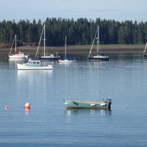 looking out at maybe a Rosbrough (sp)