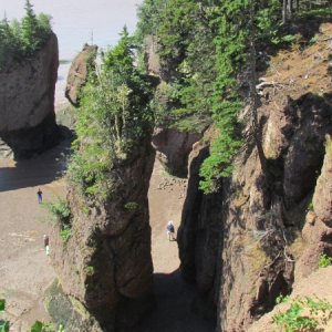 More of Hopewell Rocks