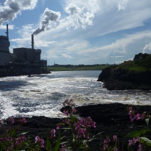the reversing falls on the Saint John river in the city of Saint John