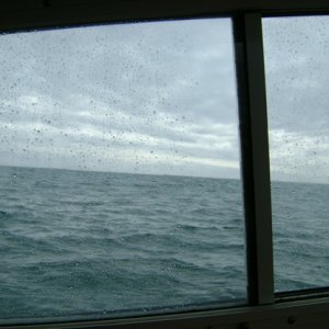 Seas aren't bad at all for early March!
