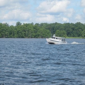 Osprey on the Chickahominy