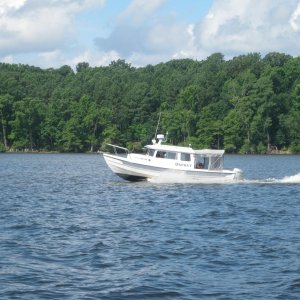 Osprey on the Chickahominy