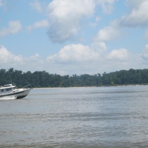 PANDY GIRL on the James River