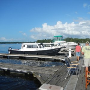 RIVER HORSE at River\'s Rest on the Chichahominey