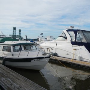 SKIMMER at Jordan Point