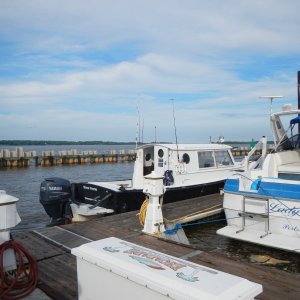 RIVER HORSE at Jordan Point