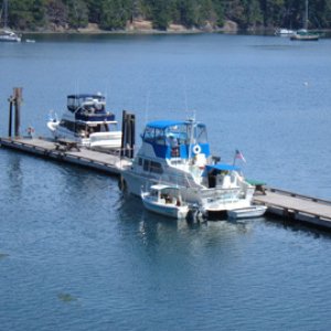 "Lonely" at Prevost Hbr.Stuart Is. in July '08