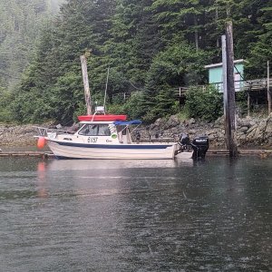 Elfin Cove C-Dory