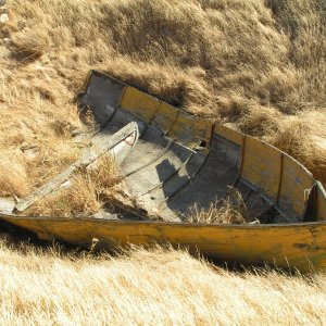 A true "fixer-upper"