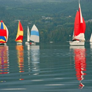 The Sail Fleet
Reach for Hospice Race
Sequim Bay