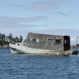 Media 'This Cement Hull keeps on floating, year after year in Winter Cove, BC' in album 'Campbell River Cutie'