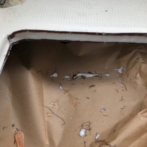 West System epoxy thickened & filled.  Seals balsa & provides strength.