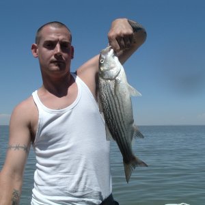 Media '' in album 'Fishing'
