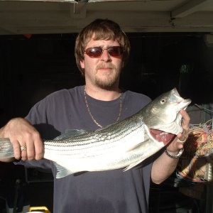 Media '23in' in album 'Fishing'