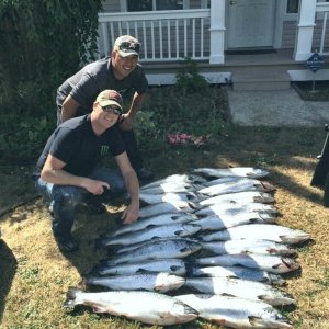 Atlantic Salmon 2