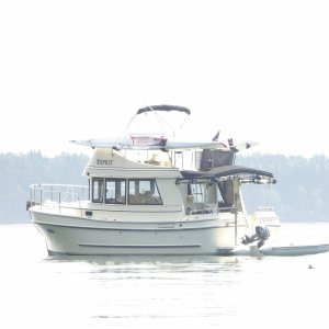 Media 'This was the third Camano 31 I saw on this trip. With all the talk on the forum recently I couldn't help taking a photo while admiring the nice design.' in album 'Leaving Bedwell Harbour early Sunday morning'