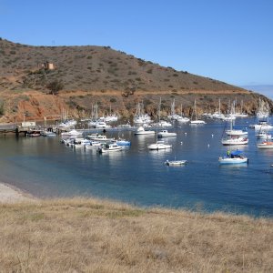 C-Dories at Two Harbors - 7 boats attended