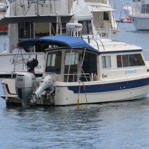 C-View II on Avalon Mooring