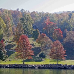 Lake Homes along Nickajack